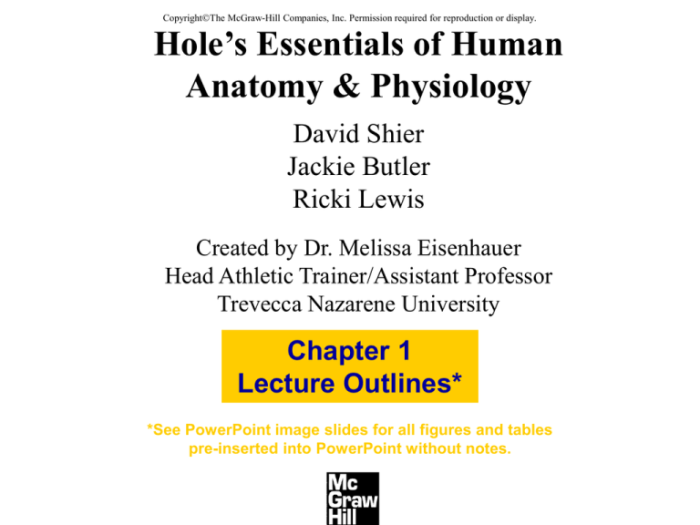 Hole's essentials of anatomy and physiology