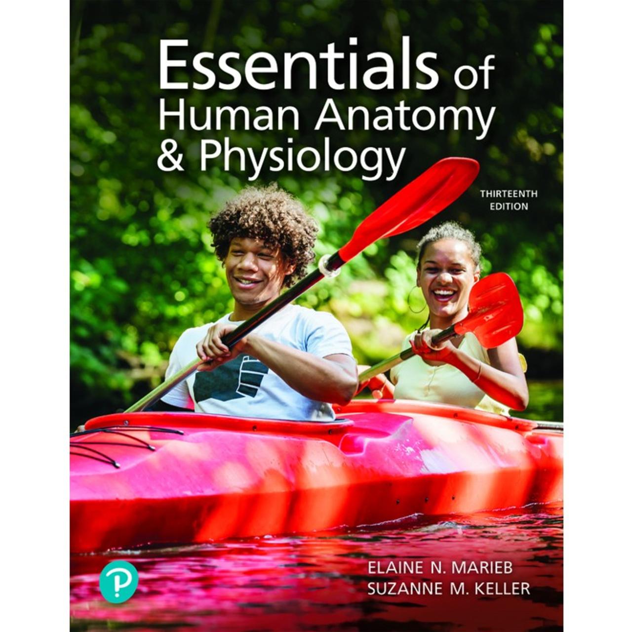 Anatomy physiology essentials