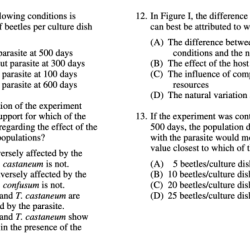 Mcq progress unit check