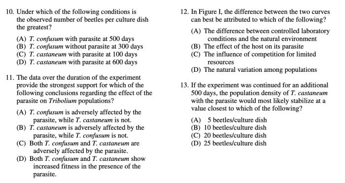 Mcq progress unit check