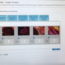 Solved dioxide bioflix problem