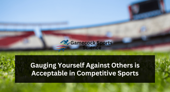 Gauging yourself against others is acceptable in competitive sports